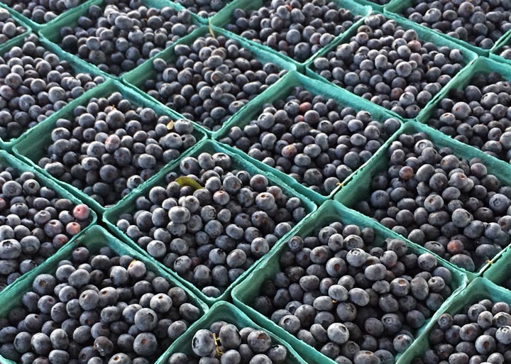 Farmer's Market Blue Berries