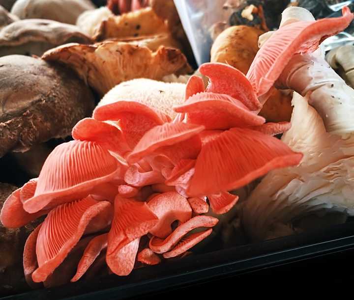 Mushrooms: Budget Saver or Gourmet Splurge?