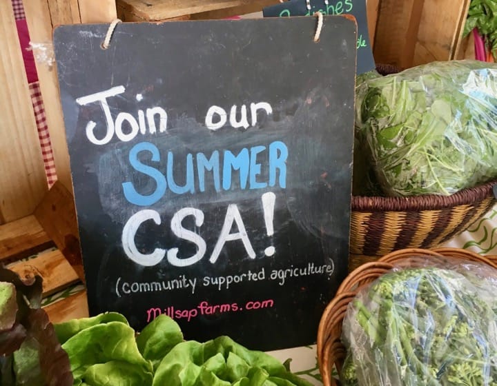 make the most of your csa share