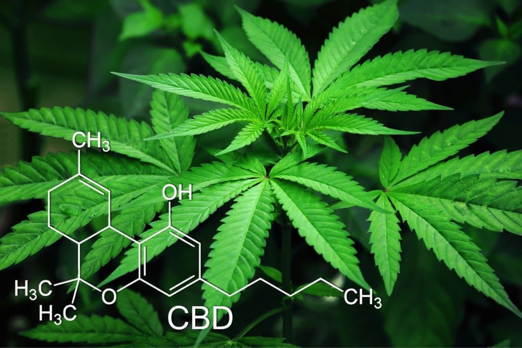 benefits CBD oil