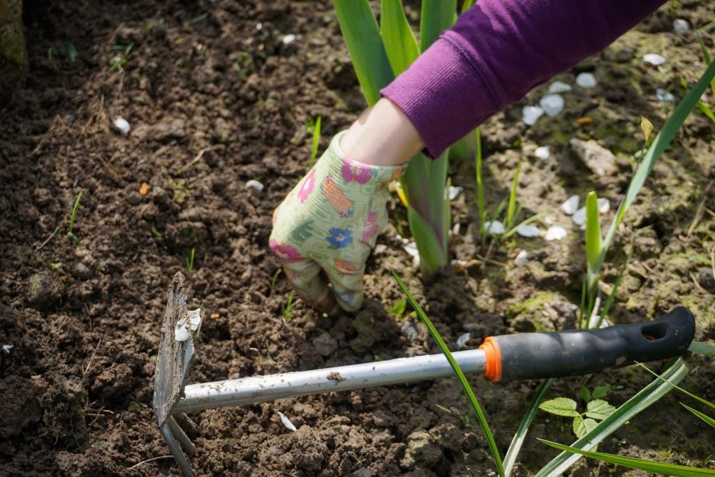 work in the garden this summer