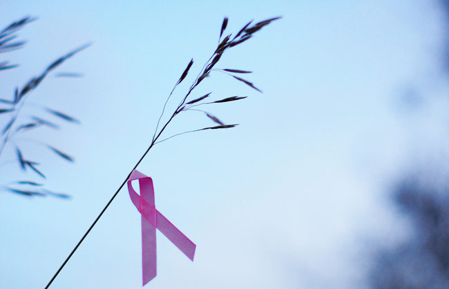 Preventing Breast Cancer