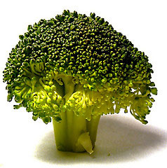 Getting Your Daily Fiber