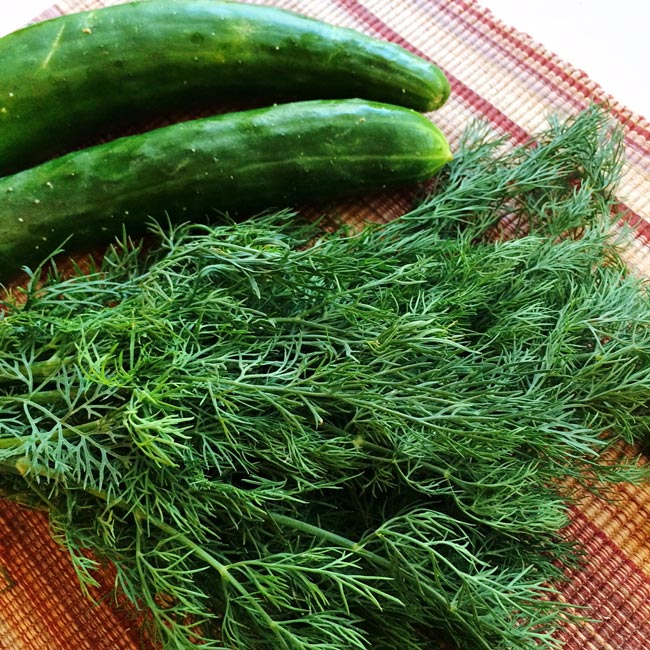 Garlic and Dill Cucumber Noodle Salad Recipe