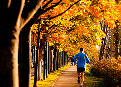 Exercise and Alzheimer's Disease
