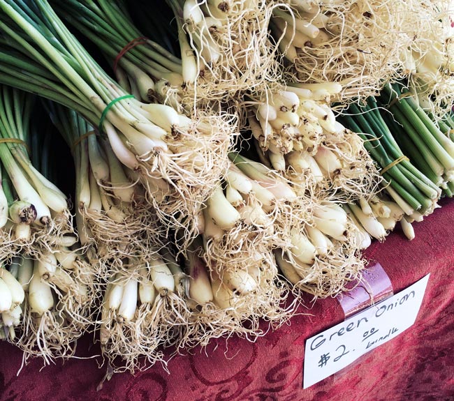 Farmers Market Finds for May