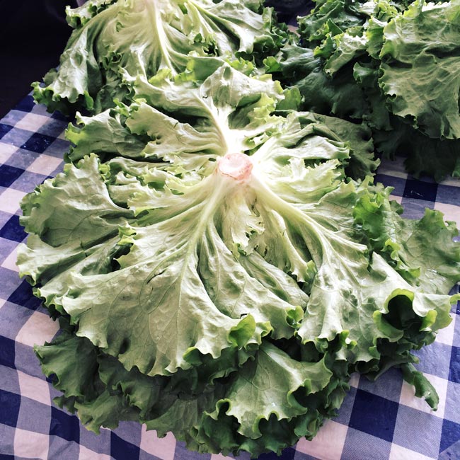 Farmers Market Finds for May