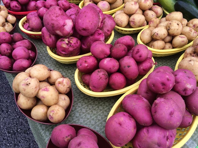 Farmers Market Finds for June