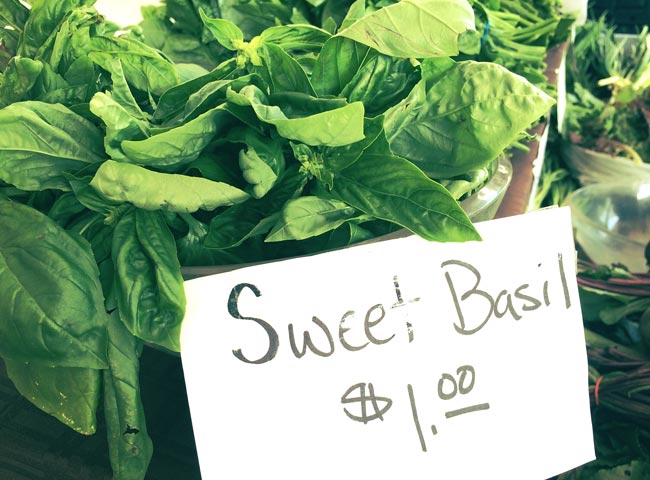 Sweet Basil $1