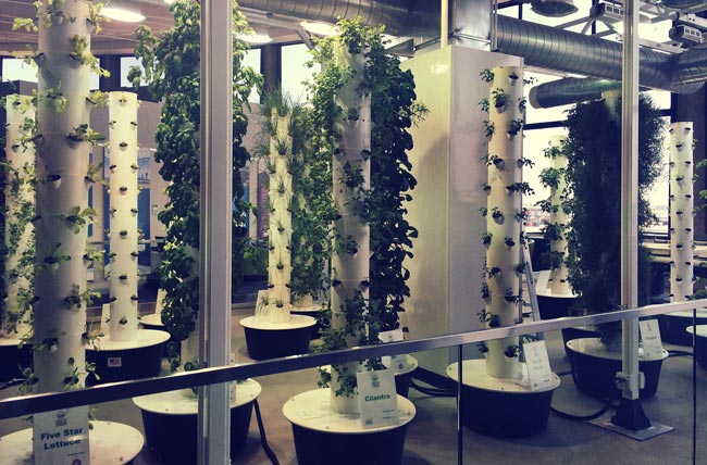 The Fit Girl's Guide To O'Hare 